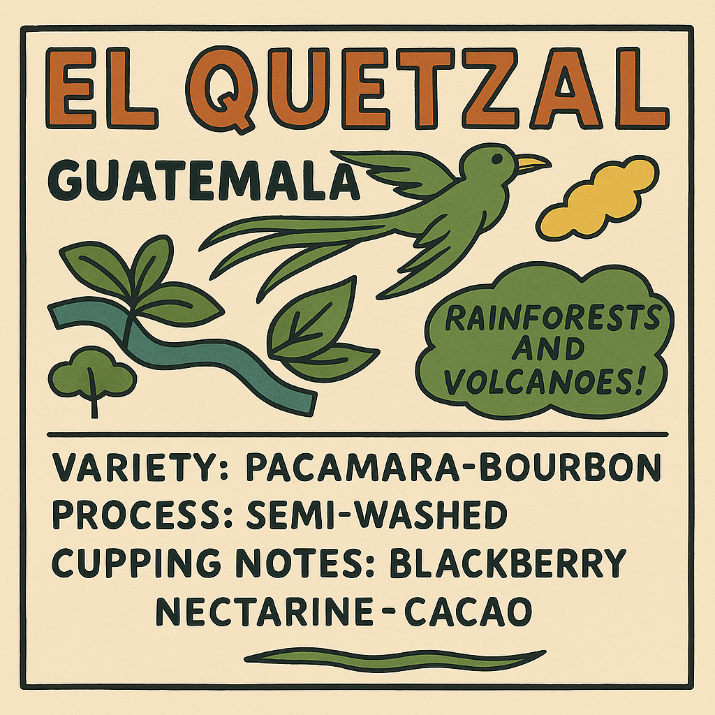 EL QUETZAL-GUATEMALA