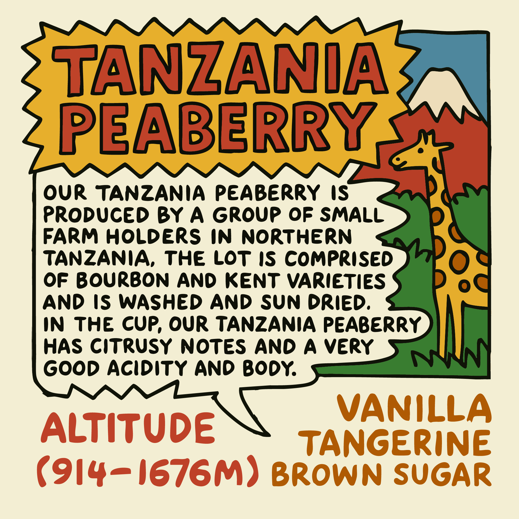 TANZANIA PEABERRY